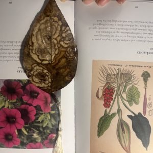 customize bookmark